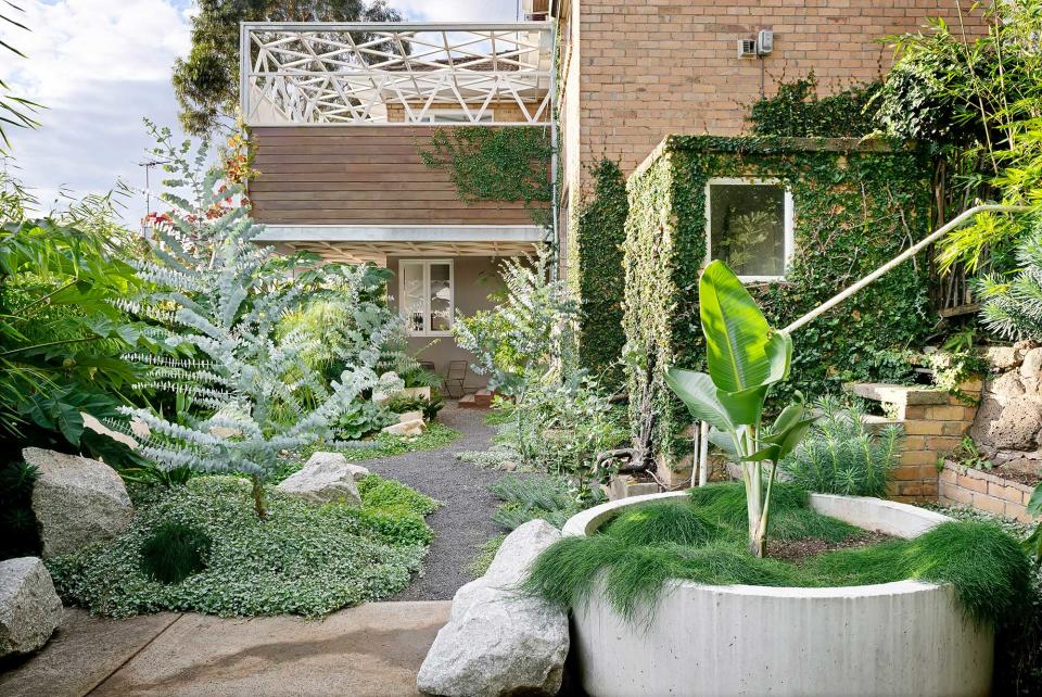 an outdoor space with a banana leaf palm