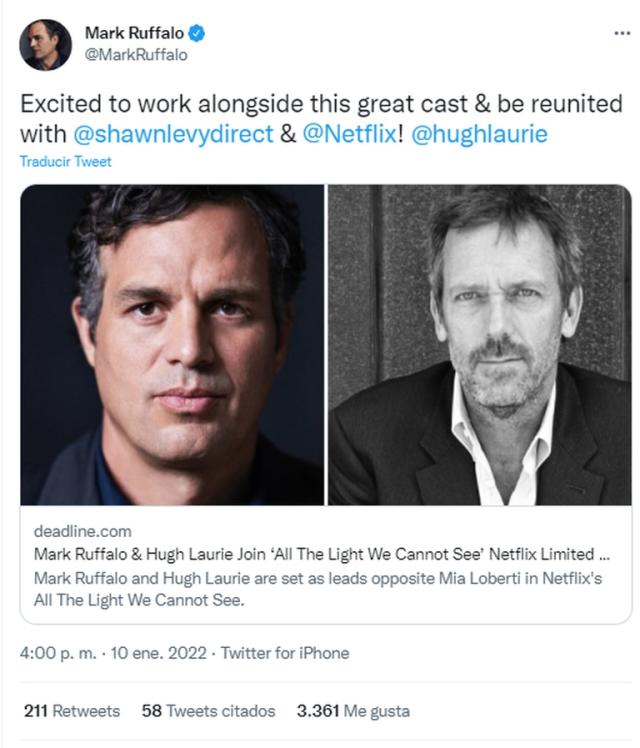 Netflix estrenará una miniserie adictiva protagonizada por Mark Ruffalo - LA  NACION