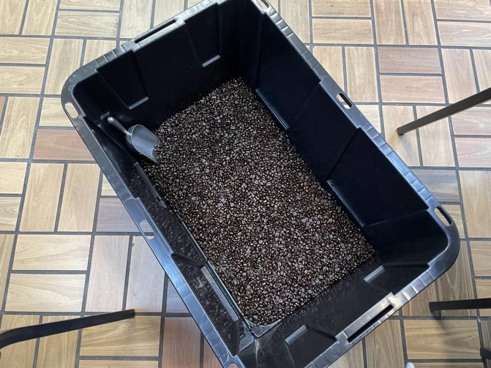 A bin of coffee beans at Terra Forte Coffee at 1125 Second St. on Friday, March 1, 2024, at the Old Sacramento Waterfront. The new coffee shop opened its doors on Saturday, Feb. 24, 2024.