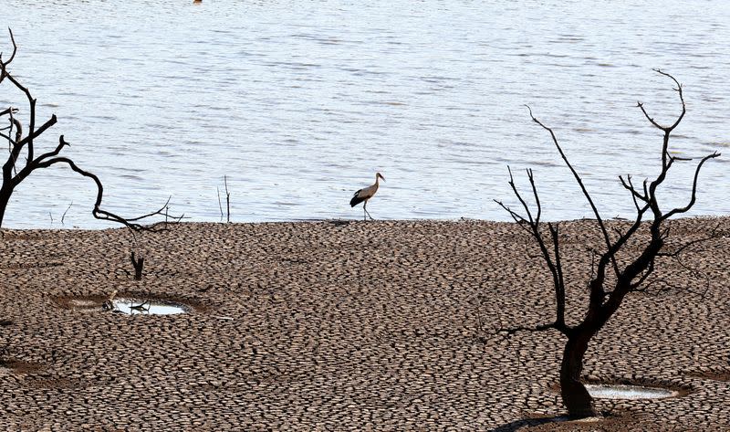 Drought leaves thousands without drinking water in southern Spain