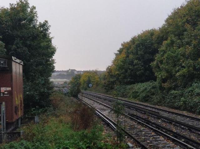 Brighton: Railway line to Lewes blocked due to fallen tree