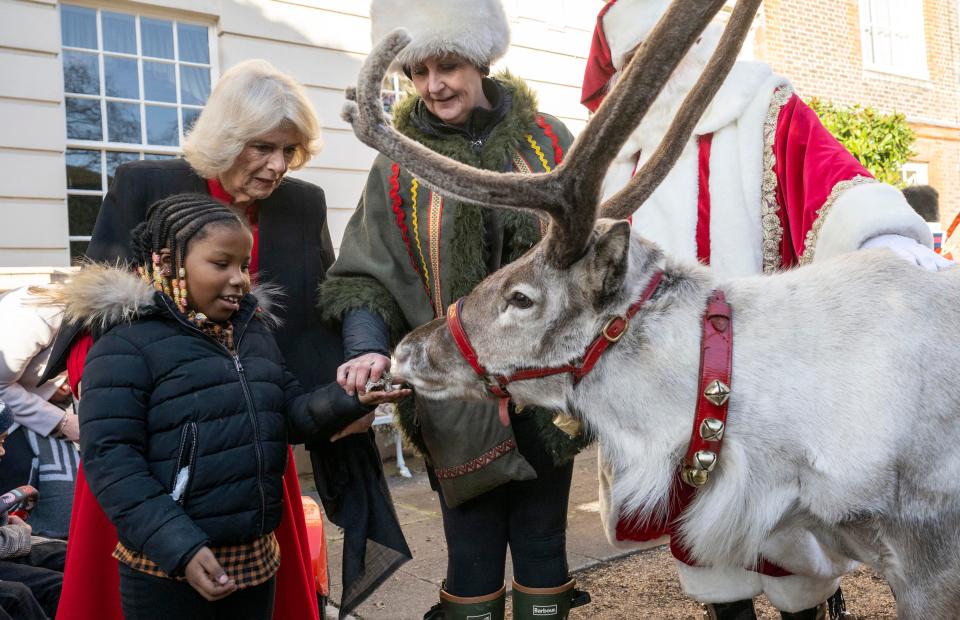 Britain's Camilla, Queen Consort (2L) helps seven-year-old Mayann MacNeil-Thompson feed 'Blixen' the reindeer during her annual reception for youngsters and their carers from Helen and Douglas House and Roald Dahl's Marvellous Children's Charity to decorate the Christmas tree at Clarence House, in London on December 7, 2022. (Photo by Paul Grover / POOL / AFP) (Photo by PAUL GROVER/POOL/AFP via Getty Images)