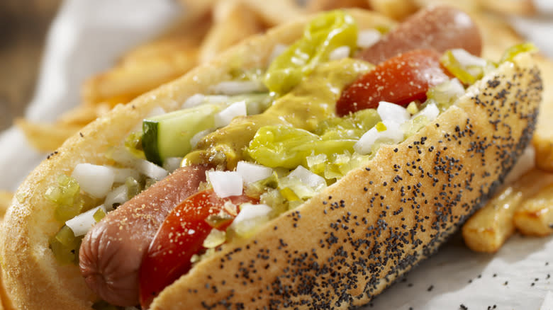 Decked out Chicago style dog