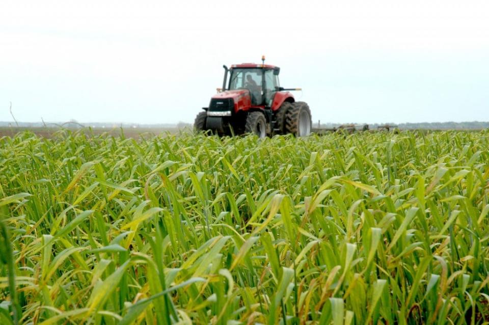 Fertilizer prices have reached record highs and a new report by the Agricultural and Food Policy Center at Texas A&M University indicates they may go much higher in 2022.