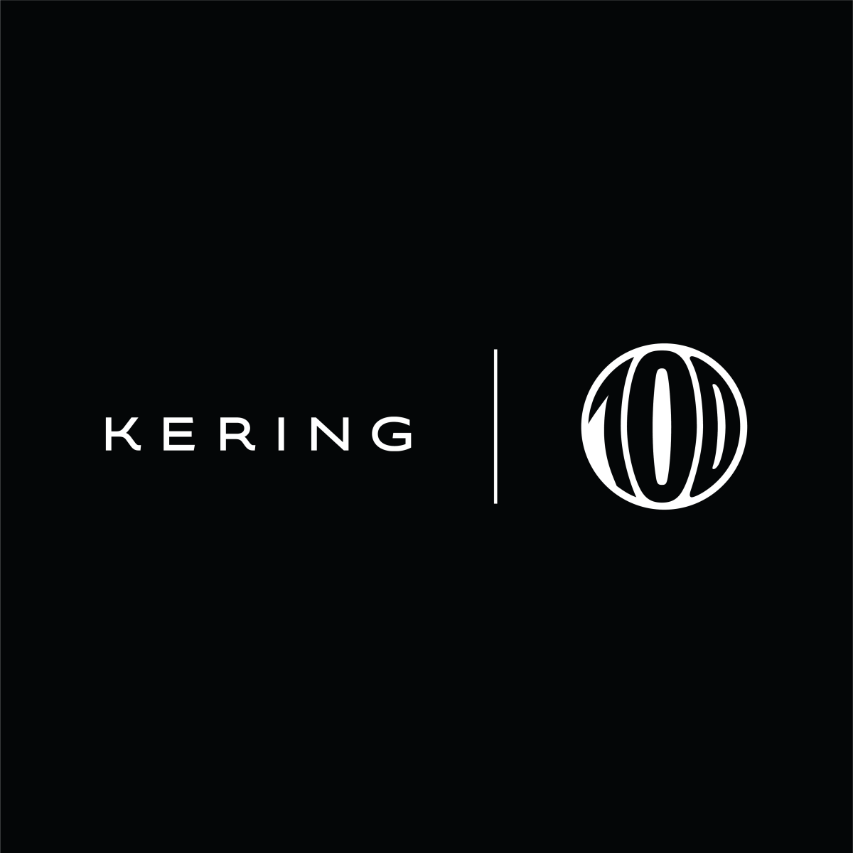 Kering Scales Up Diversity, Inclusion at Regional Levels