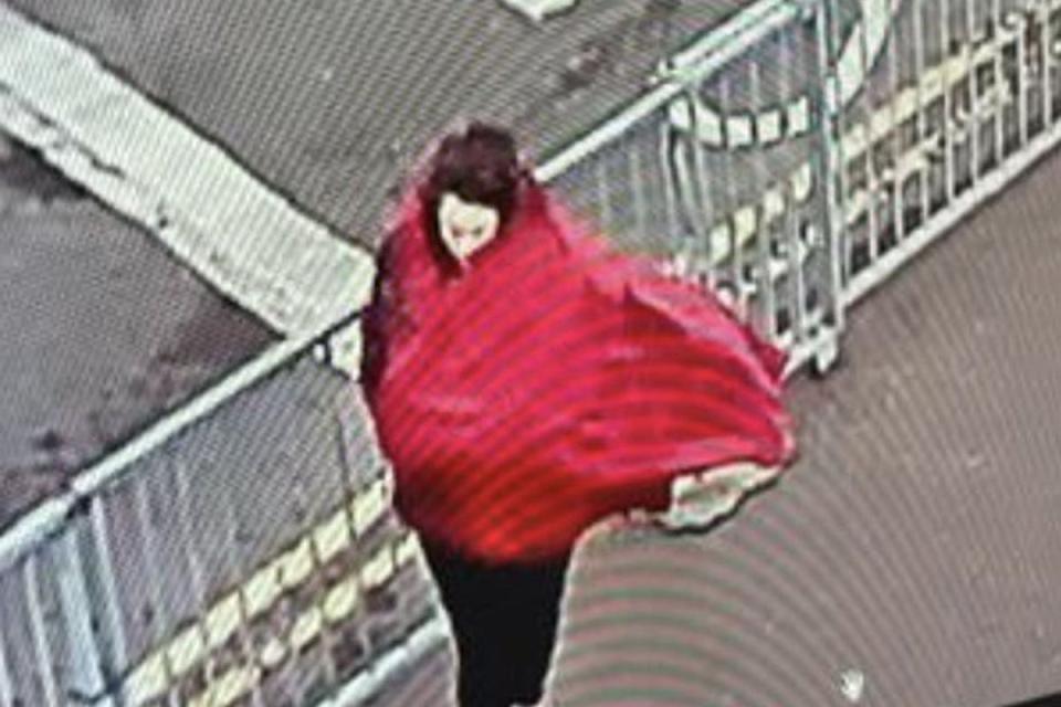 Constance Marten is missing with her newborn baby and partner Mark Gordon (Greater Manchester Police/PA) (PA Media)
