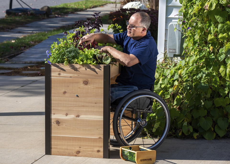 This image provided by Gardener’s Supply Company shows a man gardening in a Wheelchair Accessible Raised Bed, one of many available products designed to make gardening easier. (Gardeners.com via AP)