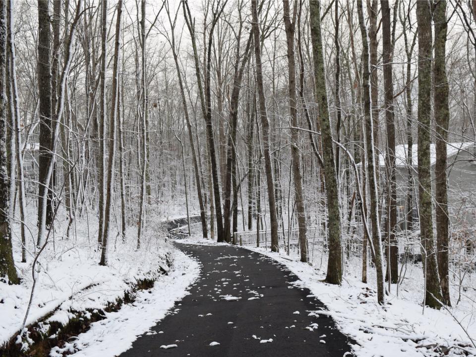 Snowy winter road in Alabama.