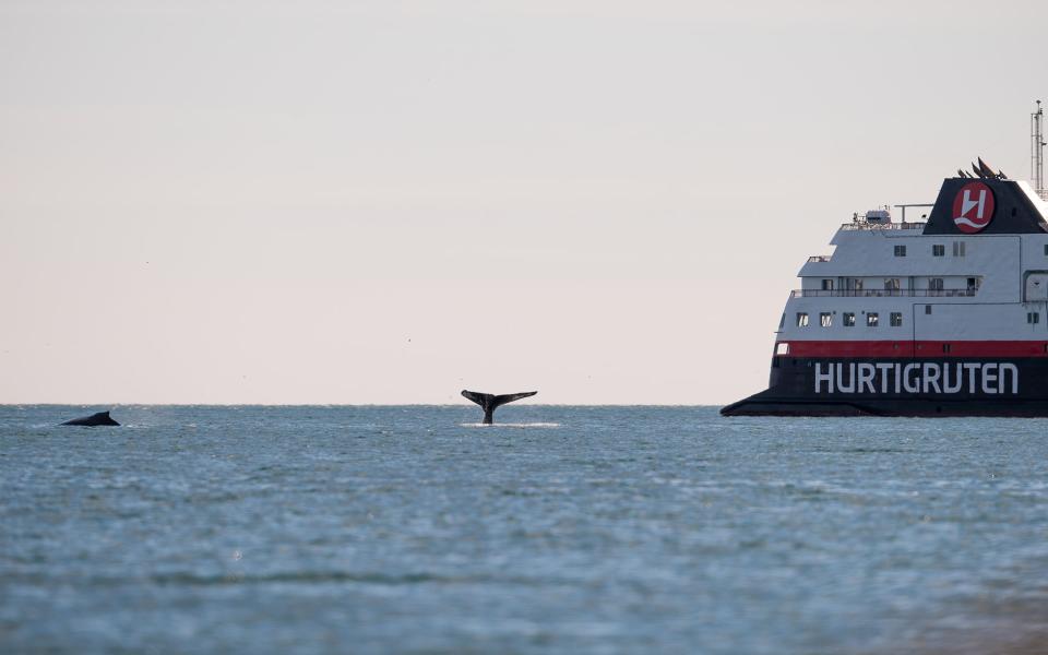 Norway's Hurtigruten has already resumed holidays - ANDREAS KALVIG ANDERSON