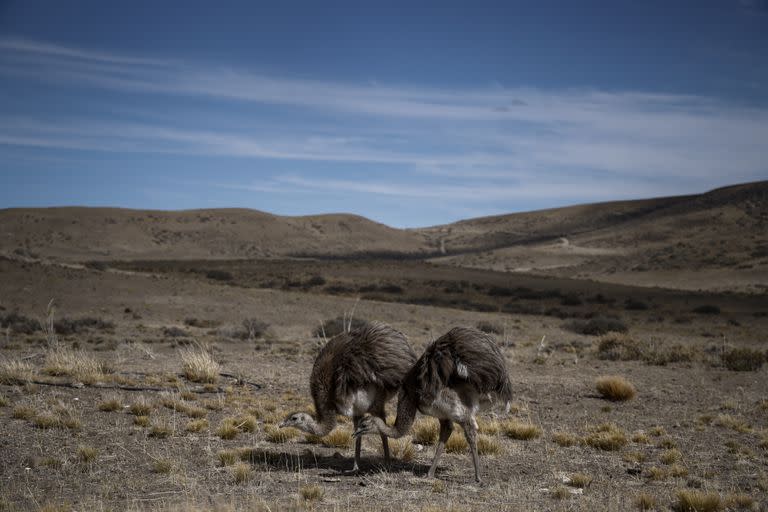 Frente a la meseta del Lago Buenos Aires, y a los pies de la meseta Sumich, el observatorio y el refugio están en una situación geográfica de absoluto aislamiento