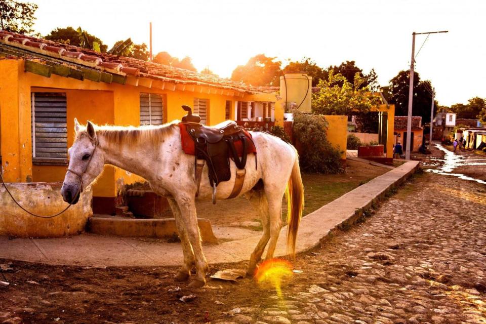 Saddle up on Miguel’s tours (Alamy Stock Photo)