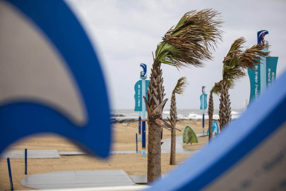 El viento mueve la copa de las palmeras en Virginia Beach, Virginia, el 22 de septiembre de 2023, mientras la tormenta tropical Ophelia se acerca a la zona. (Kendall Warner/The Virginian-Pilot vía AP)