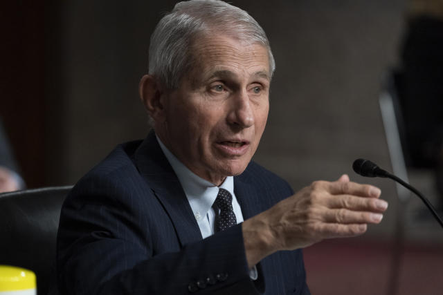 Dr. Anthony Fauci speaks during a Senate committee hearing.