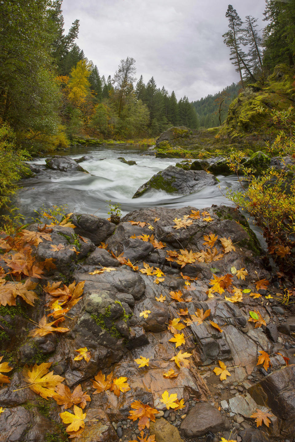 Cascades Foothills, Oregon