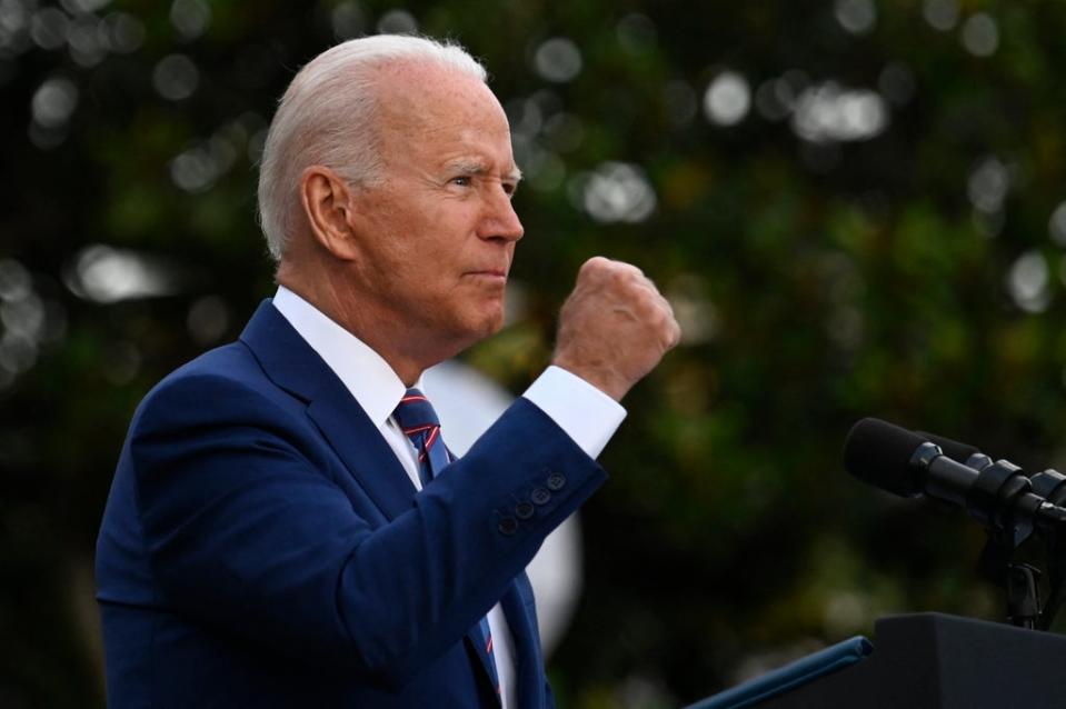 Biden said he had the experience to restore normality in America (AFP via Getty)