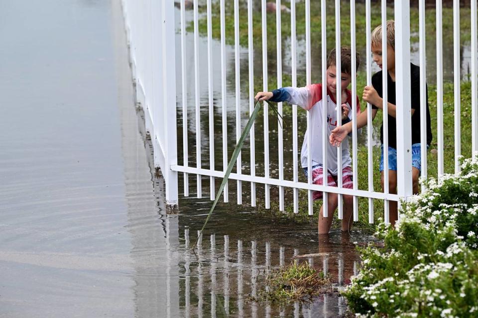 Children try to catch a cricket in the floodwaters in Palmetto after Hurricane Idalia passed on August 30, 2023.