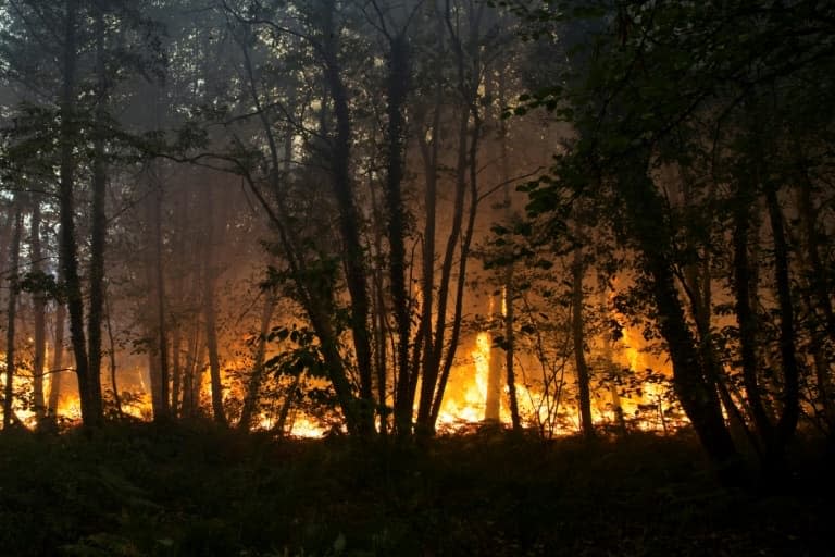 Incendie à Clefs-Val-D'Anjou, près de La Flèche, dans l'ouest de la France, le 9 août 2022 (illustration) - GUILLAUME SOUVANT © 2019 AFP