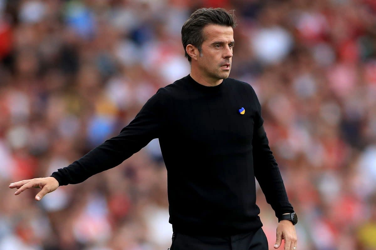 Marco Silva believes his Fulham squad have the right ambition to succeed this season (Bradley Collyer/PA) (PA Wire)