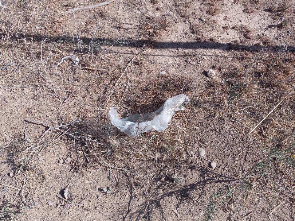 A plastic bag rests in a field near the Eddy County Fairgrounds in Artesia on April 26, 2023.