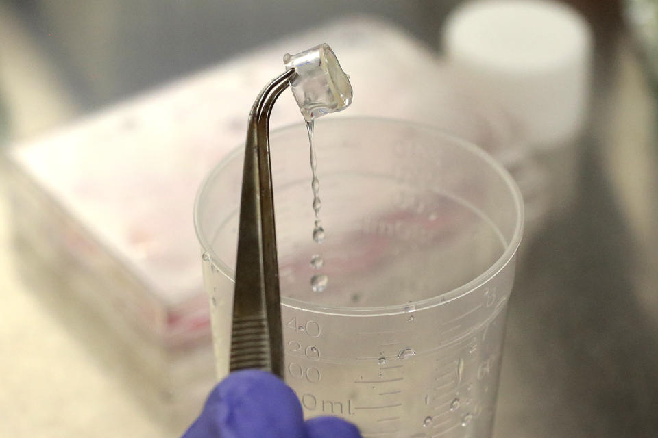 In this Wednesday, Jan. 15, 2020, photo, scientist and study director Jennifer Molignano uses forceps to hold a sample of living human skin tissue, grown on a porous membrane inside a plastic insert, while using saline solution to wash a skin care product off the tissue, during a demonstration of an experiment created to evaluate the effects of commercially available skin care products on human skin, at a MatTek Corporation lab, in Ashland, Mass. MatTek is a tissue engineering company that performs non-animal testing on cosmetics, skin care products and pharmaceuticals. (AP Photo/Steven Senne)