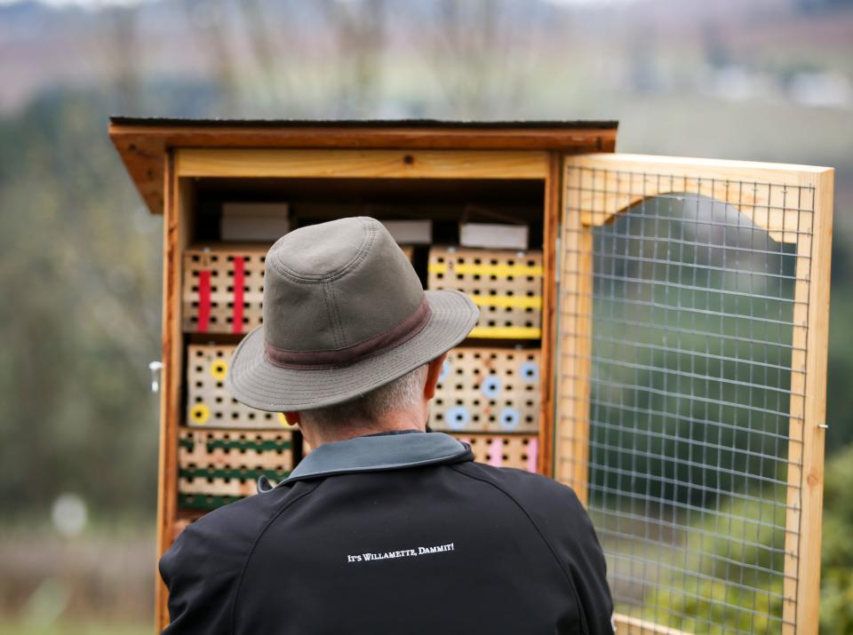 Stephen Paisley checks on the mason bee house, which provides an area for the bees to nest and the females to lay eggs, on Wednesday, April 5, 2023 at Willamette Valley Vineyards in Turner, Ore.