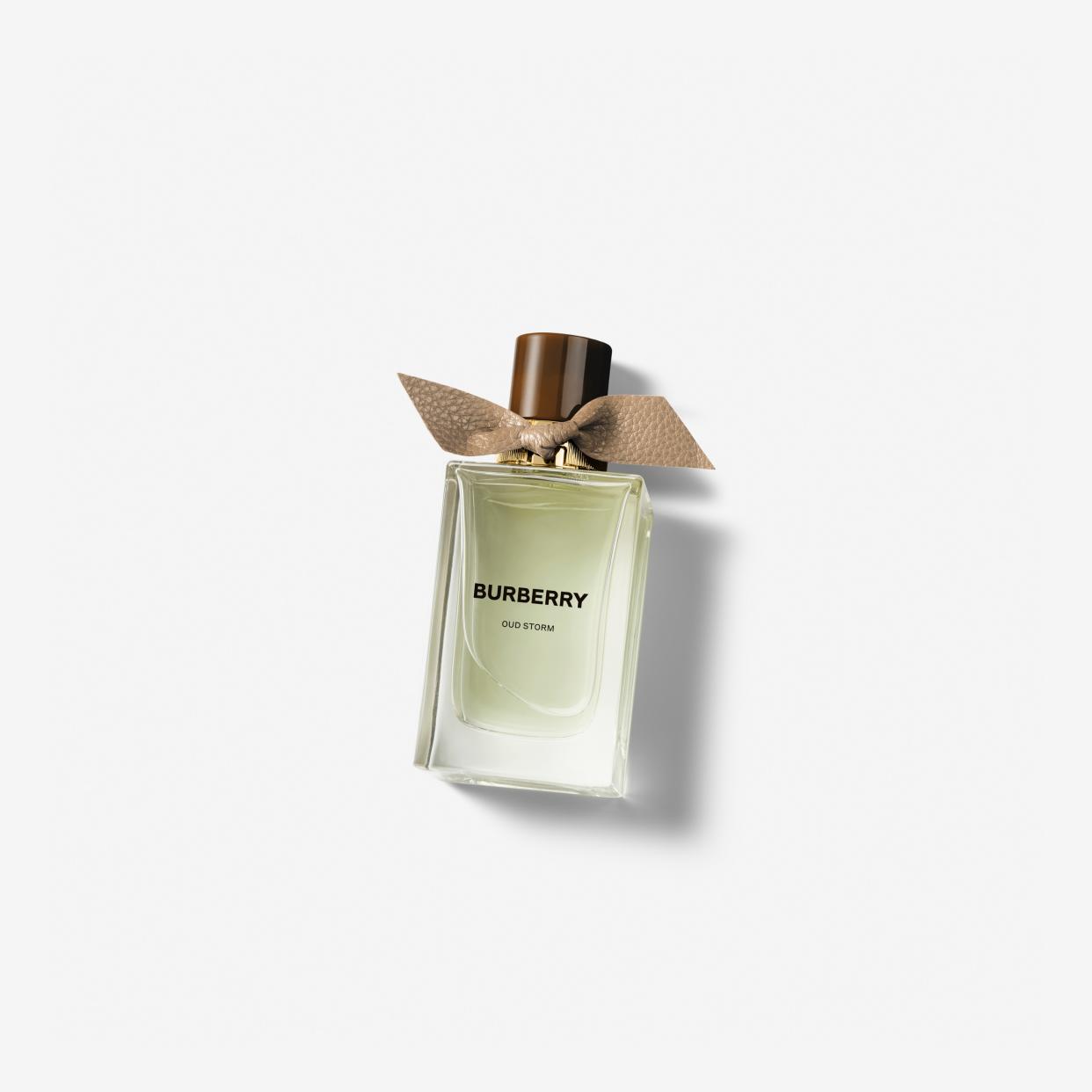 <p><a href="https://go.redirectingat.com?id=74968X1596630&url=https%3A%2F%2Fus.burberry.com%2Fburberry-signatures-extreme-botanicals-oud-storm-eau-de-parfum-100ml-p40833221&sref=https%3A%2F%2Fwww.esquire.com%2Fstyle%2Fgrooming%2Fg60298468%2Fbest-burberry-cologne%2F" rel="nofollow noopener" target="_blank" data-ylk="slk:Shop Now;elm:context_link;itc:0;sec:content-canvas" class="link rapid-noclick-resp">Shop Now</a></p><p>Signatures Extreme Botanicals Oud Storm Eau de Parfum</p><p>burberry.com</p><p>$295.00</p>