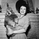 <p>Betty welcomed cameras into her home in the mid-'50s to give fans a glimpse at her domestic life and her many dogs. By this time, Betty had been already been <a href="https://www.thelist.com/191021/the-truth-about-betty-whites-husbands/" rel="nofollow noopener" target="_blank" data-ylk="slk:married and divorced twice;elm:context_link;itc:0;sec:content-canvas" class="link ">married and divorced twice</a>.</p> 