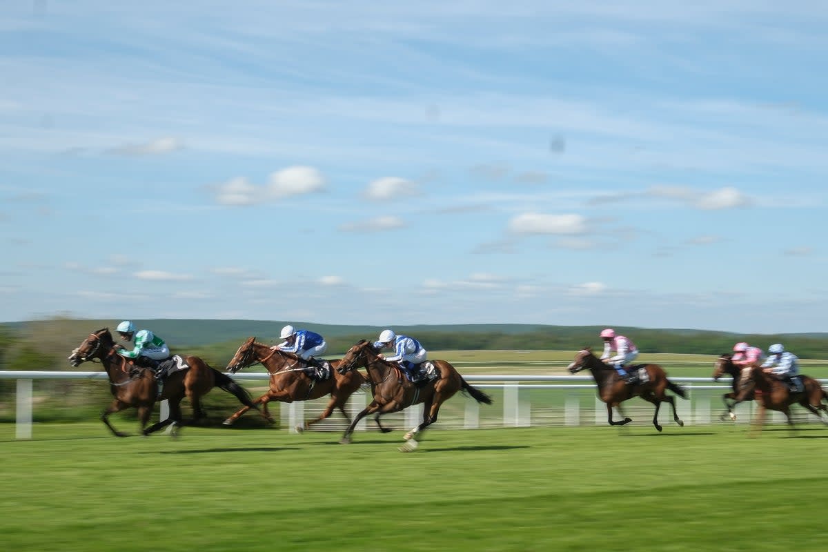 Crystal Flyer (l) at Goodwood last month (Getty Images)