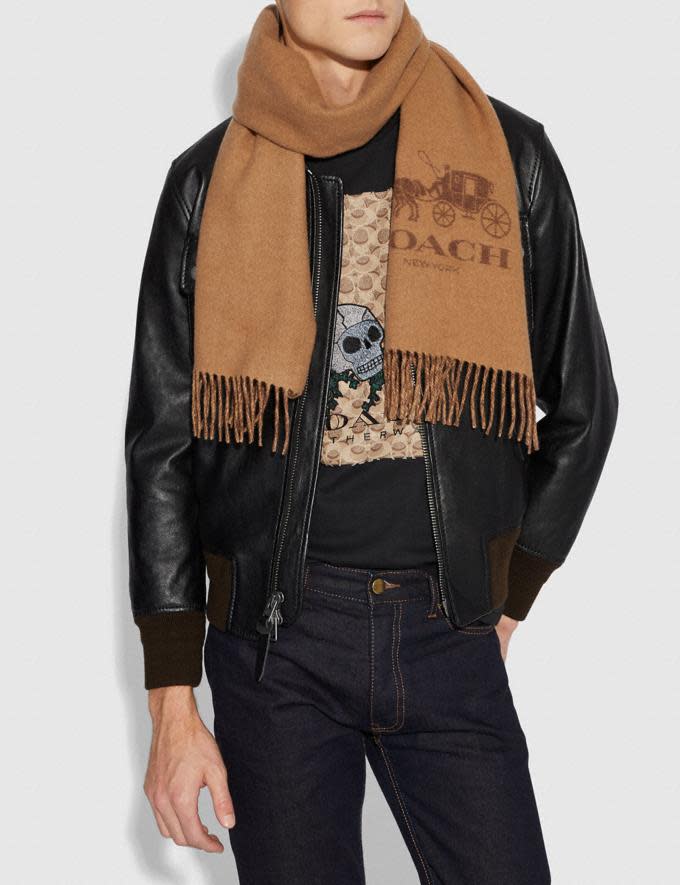 Signature Cashmere Scarf - Coach Outlet