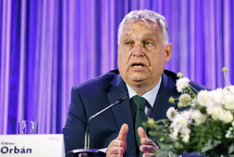 Der ungarische Regierungschef Viktor Orban und der Chef der rechtspopulistischen FPÖ in Österreich, Herbert Kickl, haben die Gründung einer neuen Rechtsaußen-Fraktion im Europaparlament angekündigt. Sie soll den Namen "Patrioten für Europa" haben. (TOBIAS STEINMAURER)