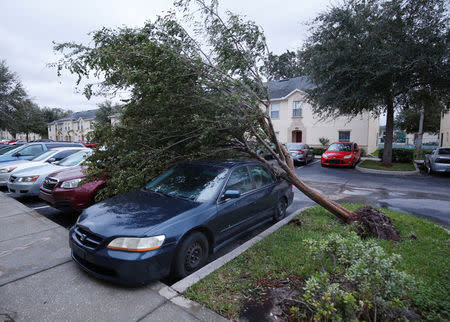 A tree sits atop two cars in wake of Hurricane Irma making landfall in Kissimmee, Florida, U.S. September 11, 2017. REUTERS/Gregg Newton