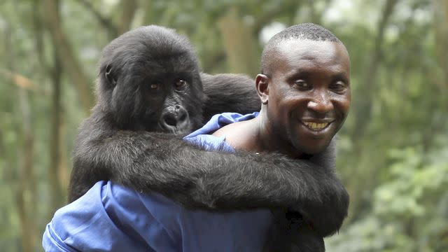 Netflix 'Virunga'