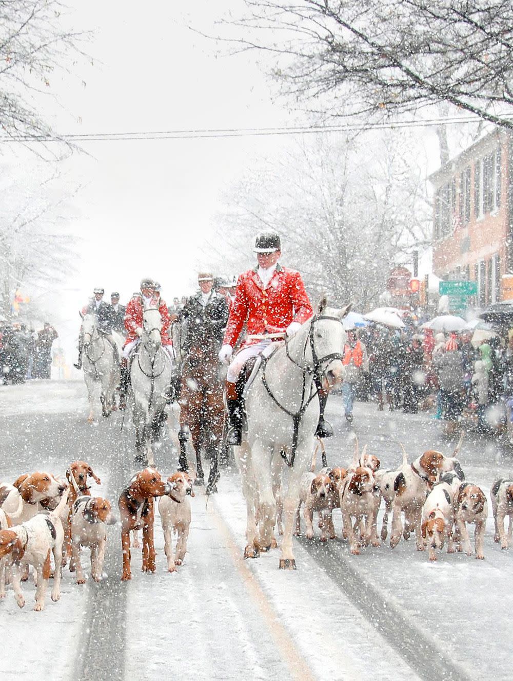 a group of men riding horses with dogs at the hunt and hounds review in middleburg virginia