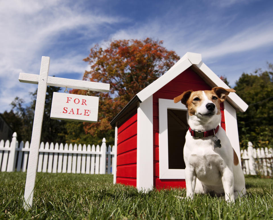Dog sitting near a dog house with a For Sale sign