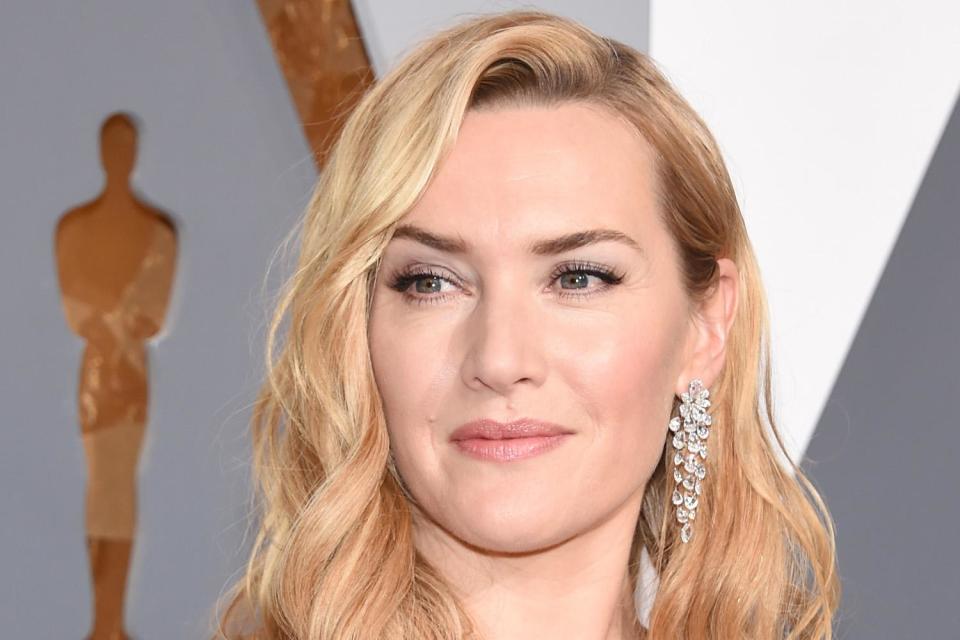 Star attraction: Kate Winslet has visited SNK (Ethan Miller/Getty Images)