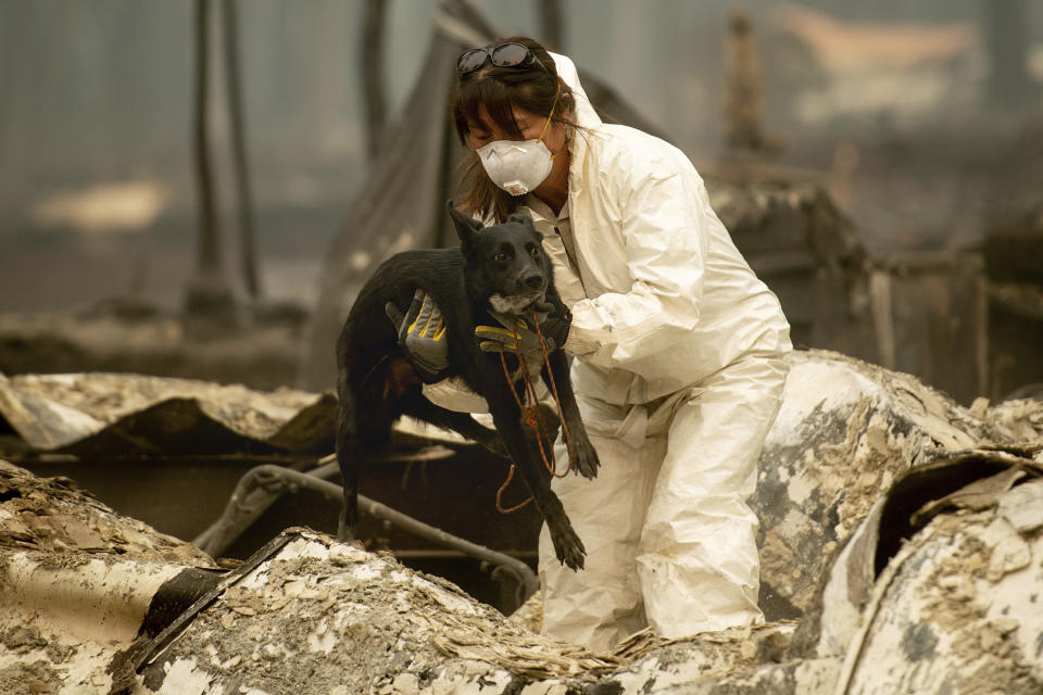 A search and rescue worker looking for Camp Fire victims carries Susie Q. to safety after the cadaver dog fell through rubble at the Holly Hills Mobile Estates on Wednesday in Paradise, Calif. (Photo: Noah Berger/AP)