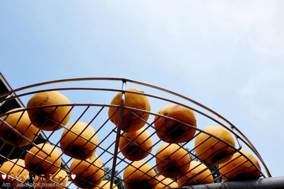 2015新埔柿餅節，金漢杮餅教育農園體驗曬柿風情
