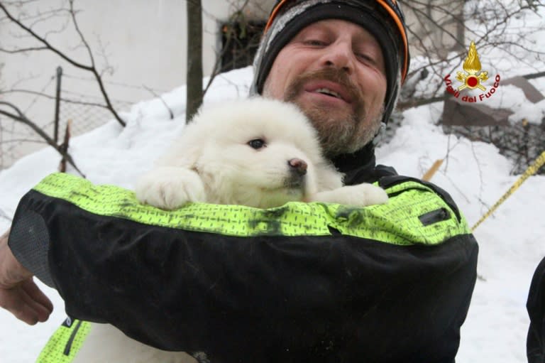 A picture from the Italian fire service on January 23, 2017 shows a fireman carrying a puppy found at the avalanche-hit Hotel Rigopiano