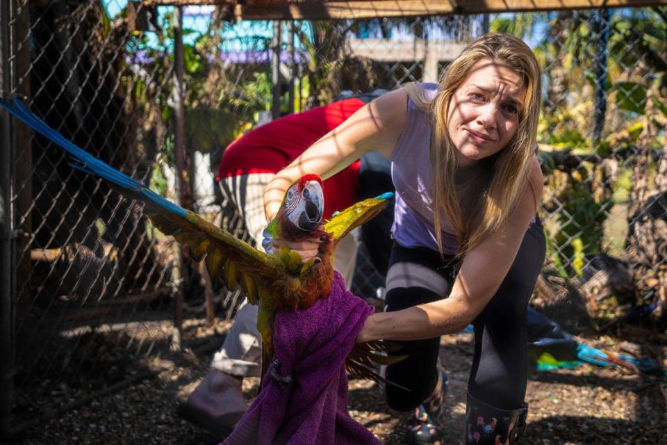 FLORIDA-TORMENTAS-AVES (AP)