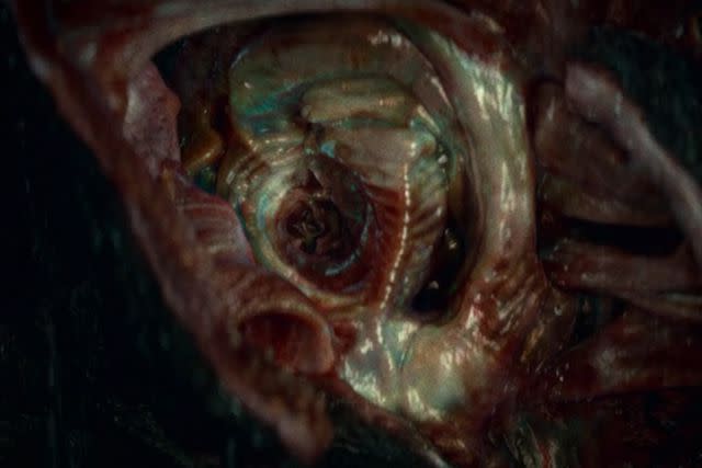 <p>Paramount Pictures</p> A Death Angel hearing in 'A Quiet Place Part II'