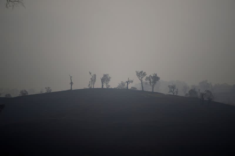 Bushfires in Cobargo, Australia