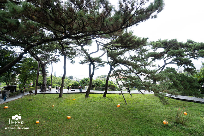 花蓮｜松園別館