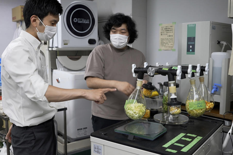 Tokyo University researchers Yuya Sakai, left, and Kota Machida, right, check on dried vegetables and fruit peels before pulverizing them to particles at their university laboratory in Tokyo, on May 26, 2022. The university's researchers have developed a technology that can transform food waste into “cement" for construction use. (AP Photo/Chisato Tanaka)