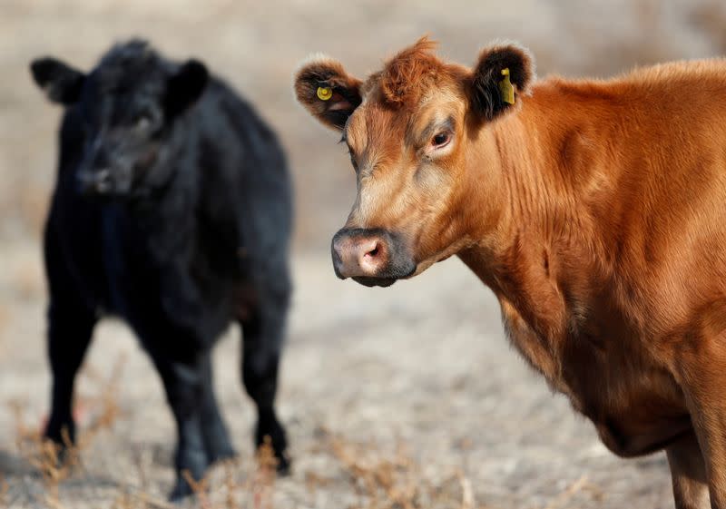 FILE PHOTO: High beef prices squeeze carnivores from Buenos Aires to New Orleans