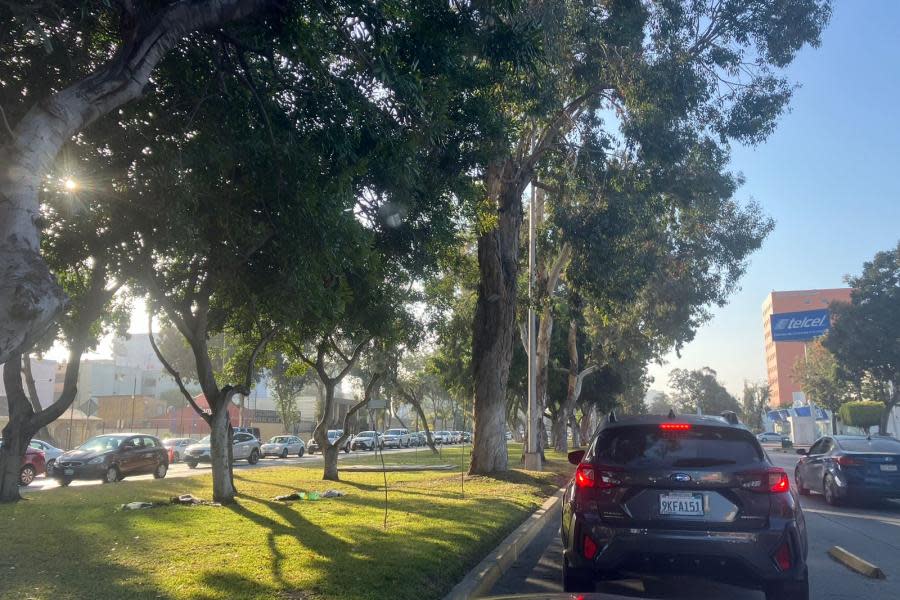 ¡Largas filas! Línea Sentri de San Ysidro llega hasta Preparatoria Lázaro Cárdenas 