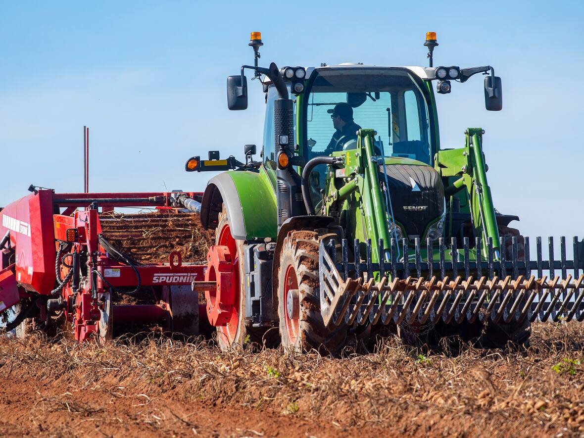 Kensington, P.E.I., located in the heart of a big potato growing area, is hugely reliant on the industry. (Brian McInnis/CBC - image credit)