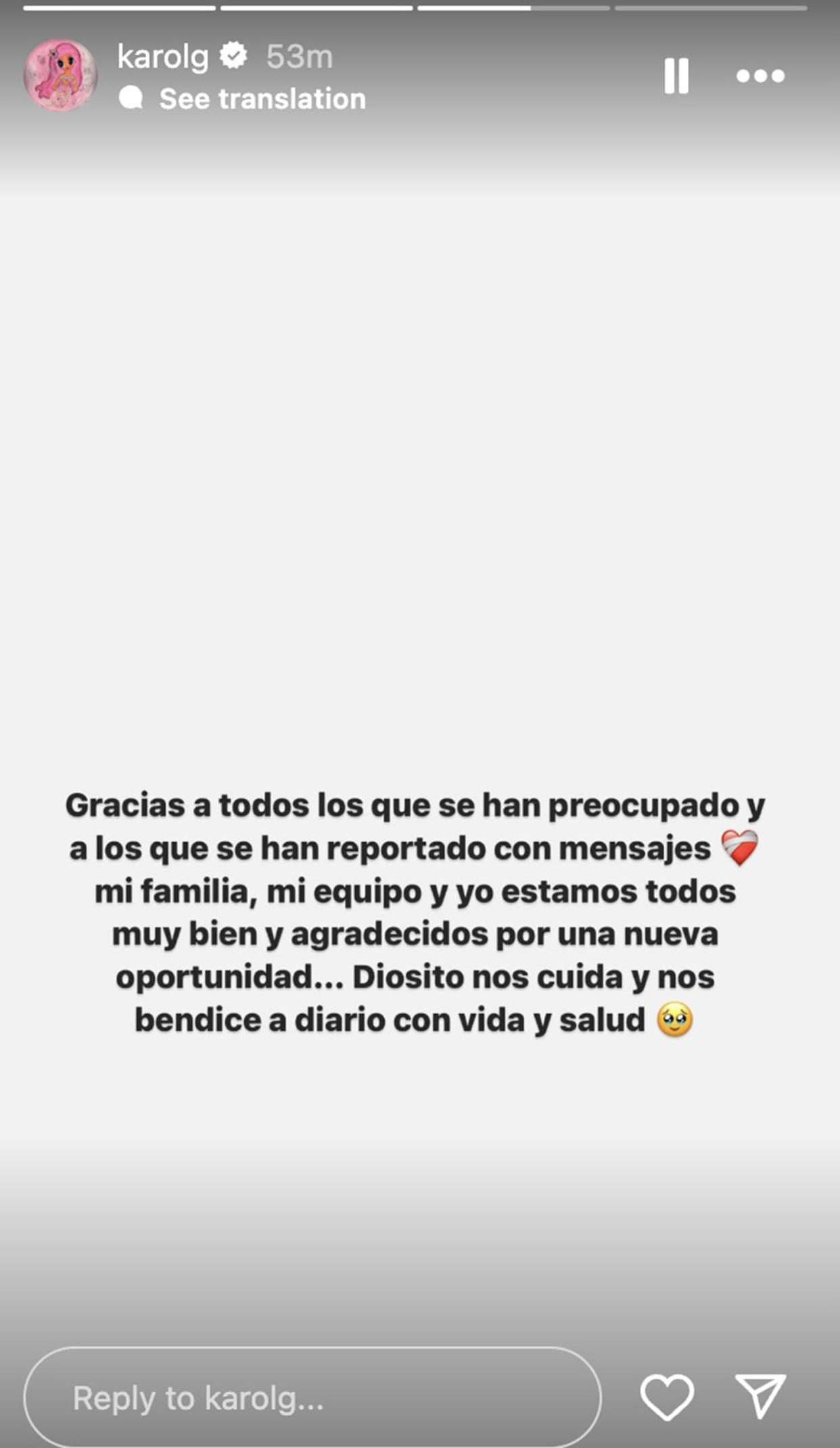 Karol G let fans know she and her family were safe in a statement following her private jet's emergency landing on Feb. 29. (@karolg via Instagram)