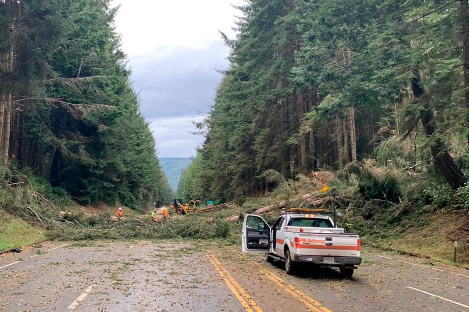 A tree is fallen across a forest road with crews working to remove it