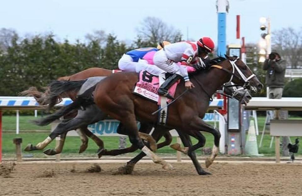 Kentucky Derby contender scratched, trainer suspended in wake of horse