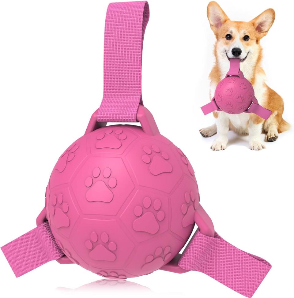 This Soccer Ball Dog Toy Is Made for Fetch & Tug of War